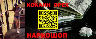 мдпв Кингисепп