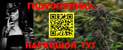 мдпв Кингисепп