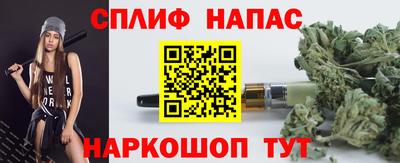 spice Кинель