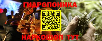 spice Кинель
