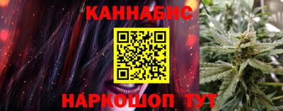 мдпв Кингисепп