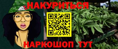 мдпв Кингисепп