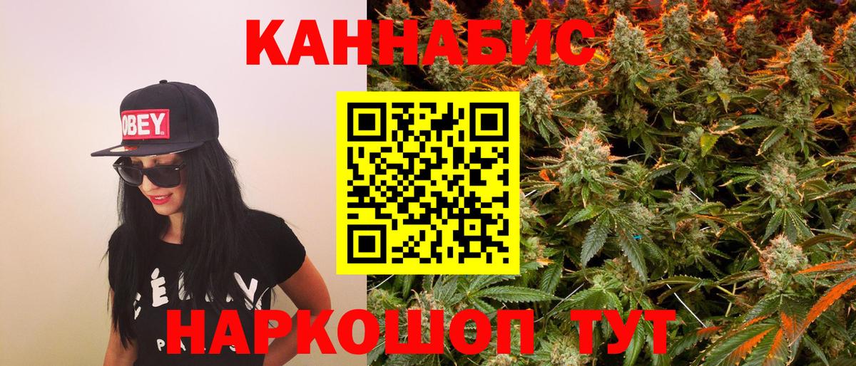 Бошки Шишки семена  Шишки марихуана White Widow  Каннабис план  Вход с VPN  Черняховск  Бошки Шишки конопля 
